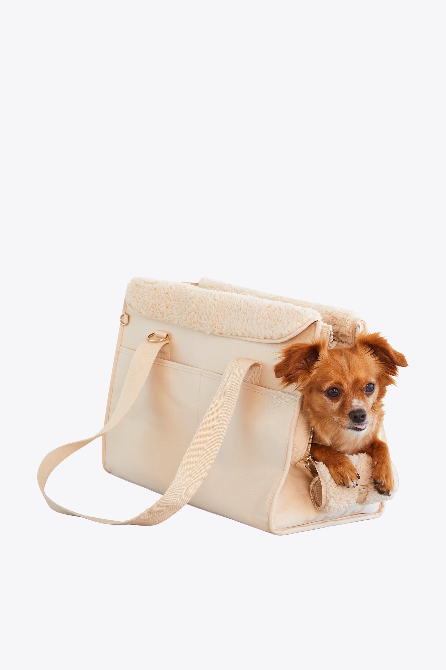 louis dog bag carrier