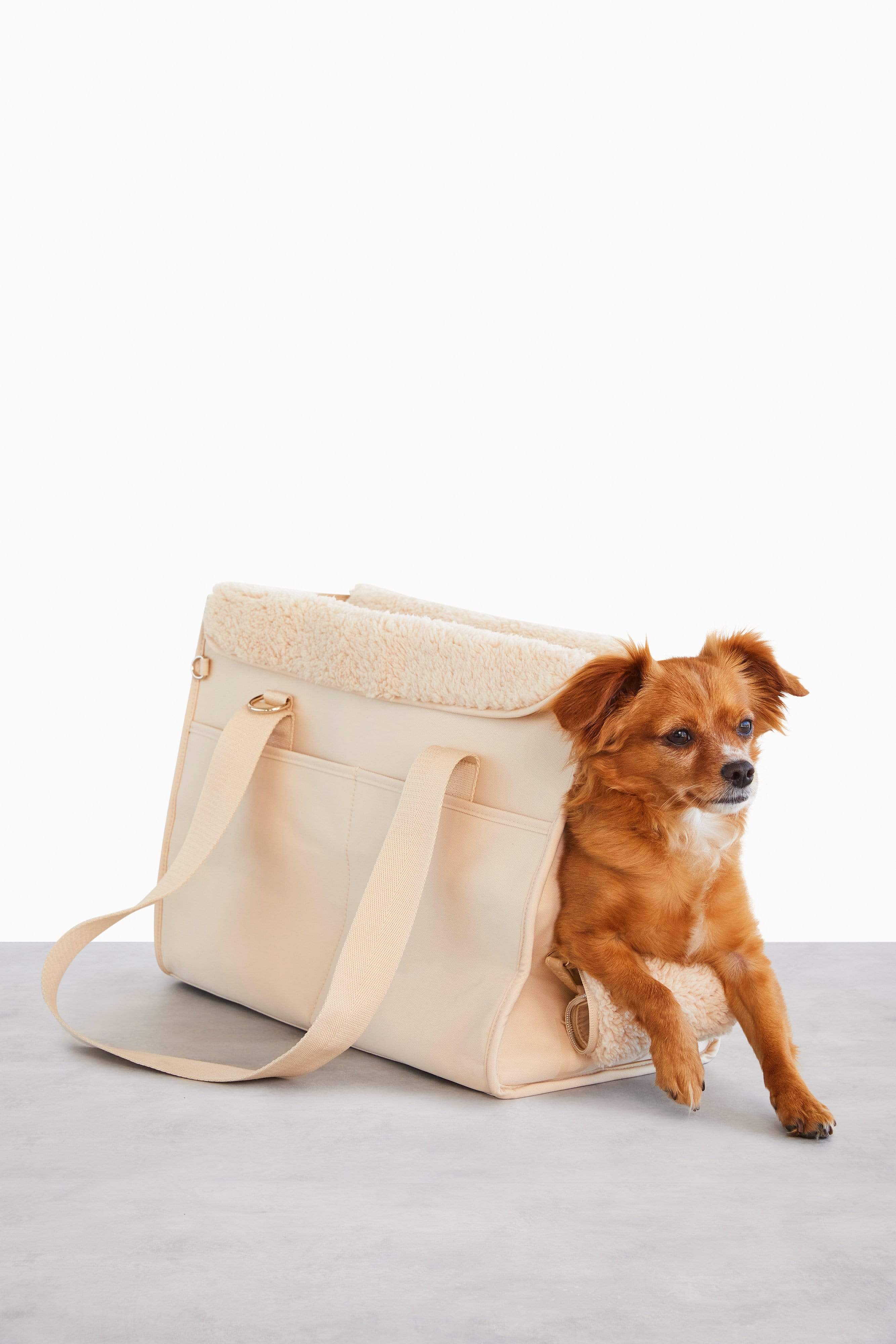 The Best Dog Carrier Bag You Can Buy