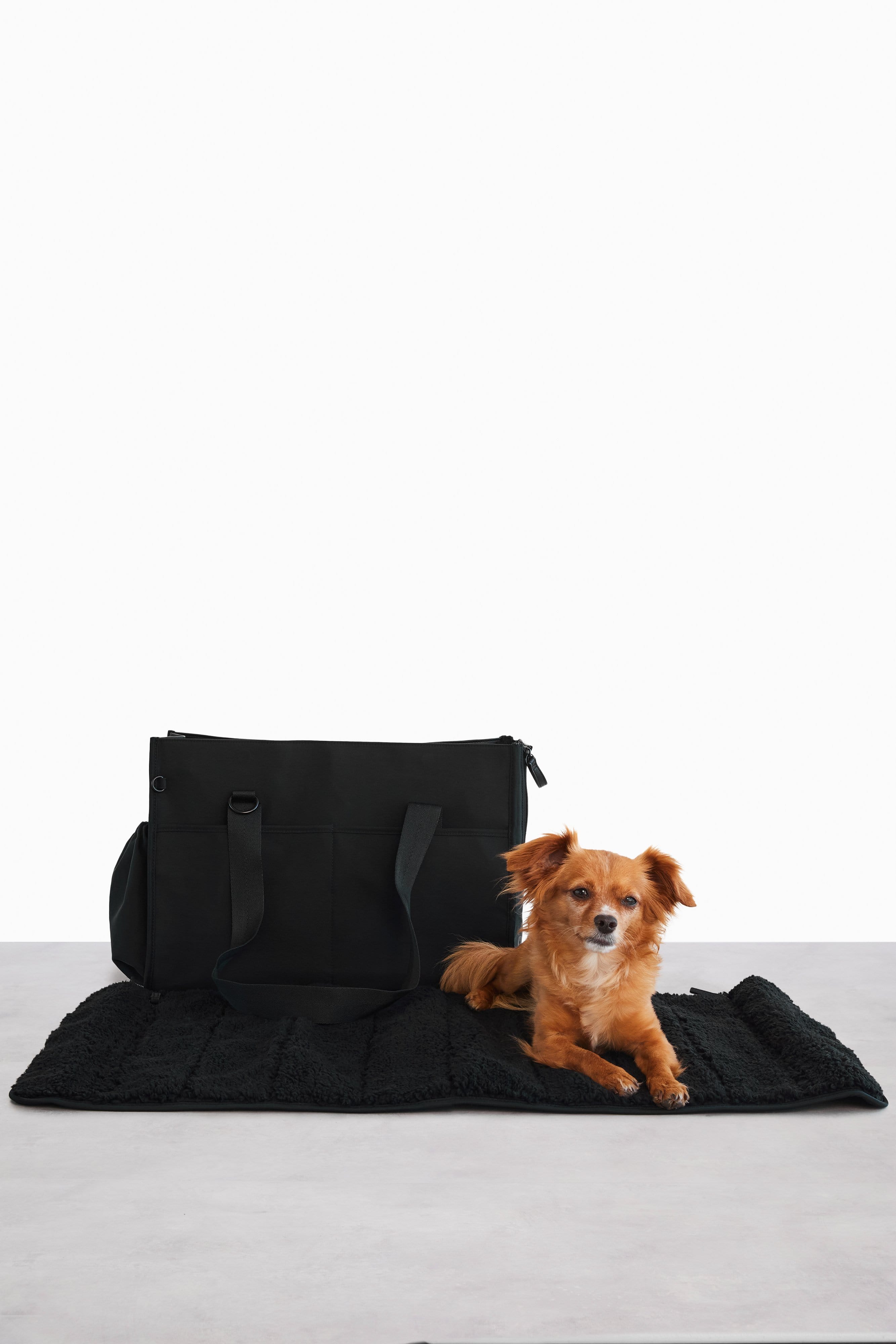 Beis The Everyday fashion Pet Tote