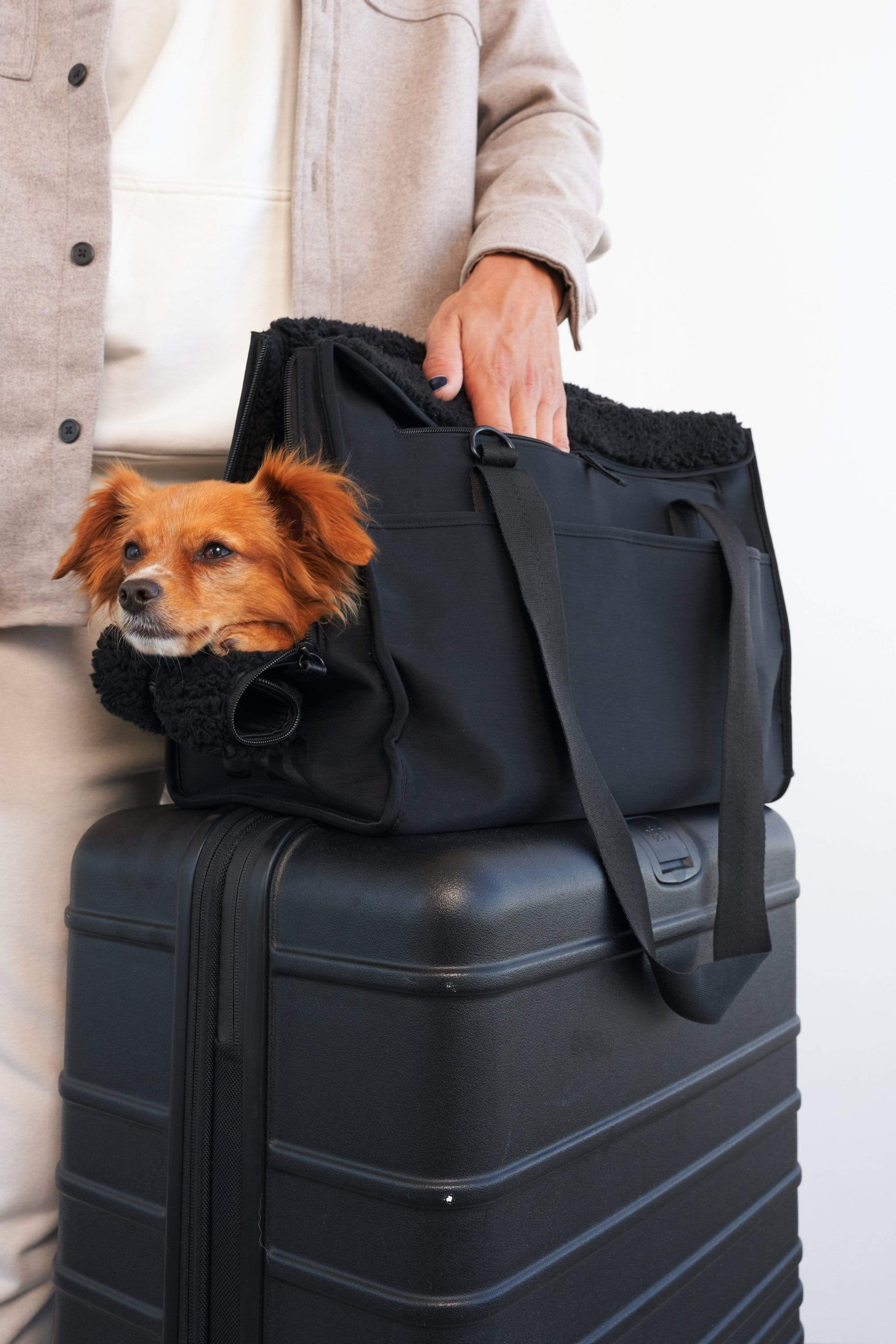 The Everyday Pet Tote in Black