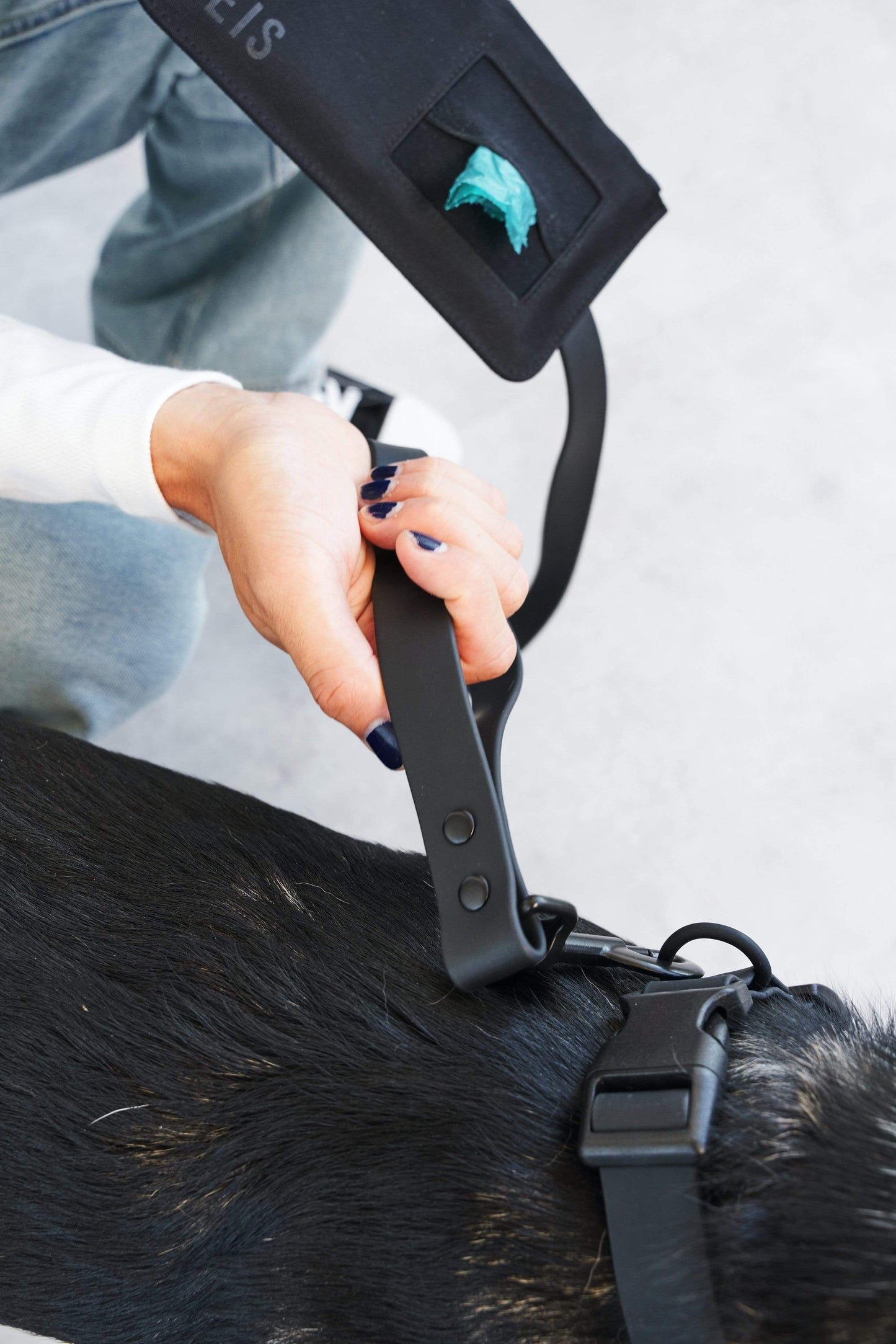 The Pet Leash in XS/S