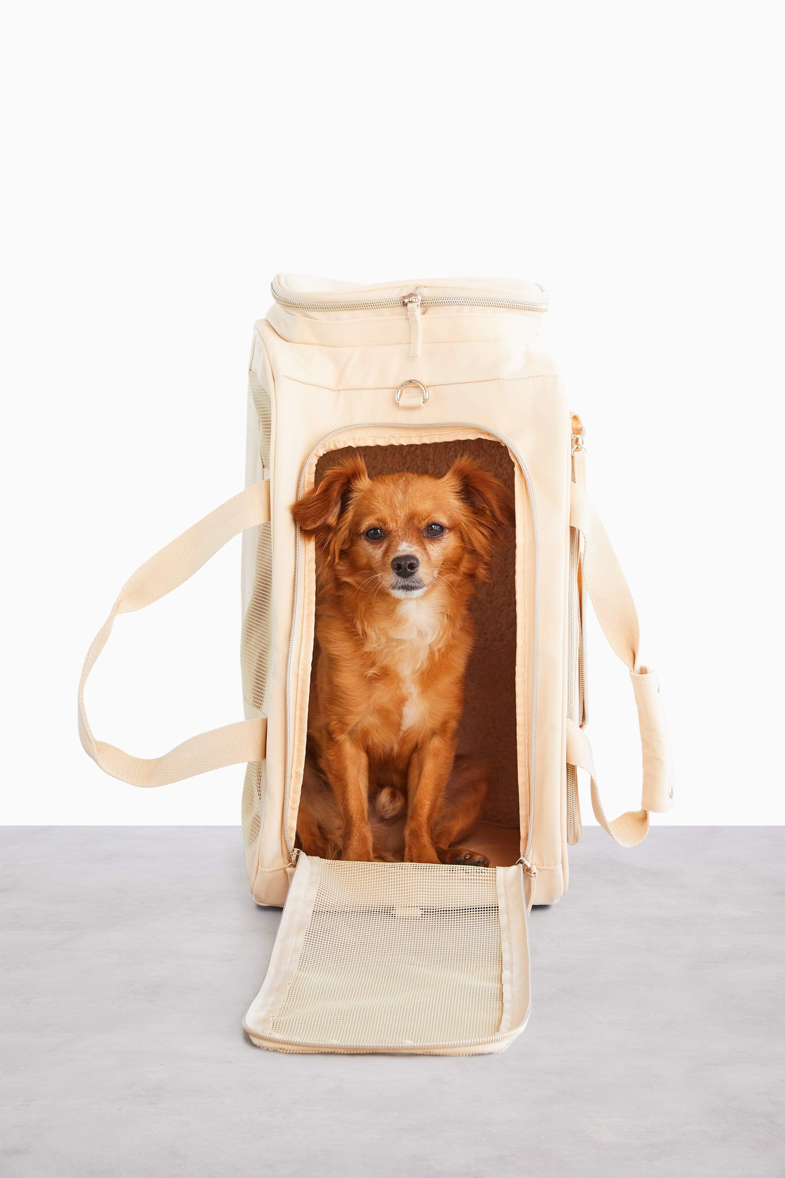 Small Dog Purse Explorer/Kaki – SCARAMUZZA ECO SHOP