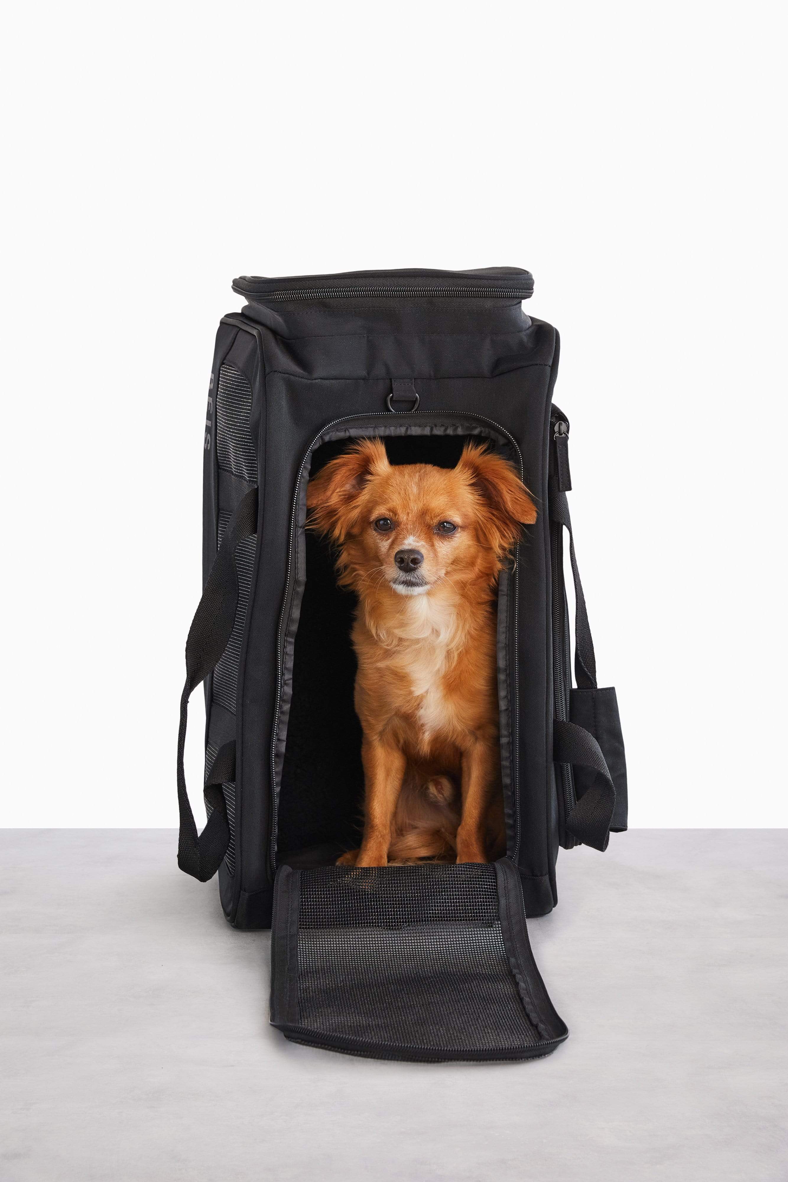 The Regulation Pet Carry on in Black