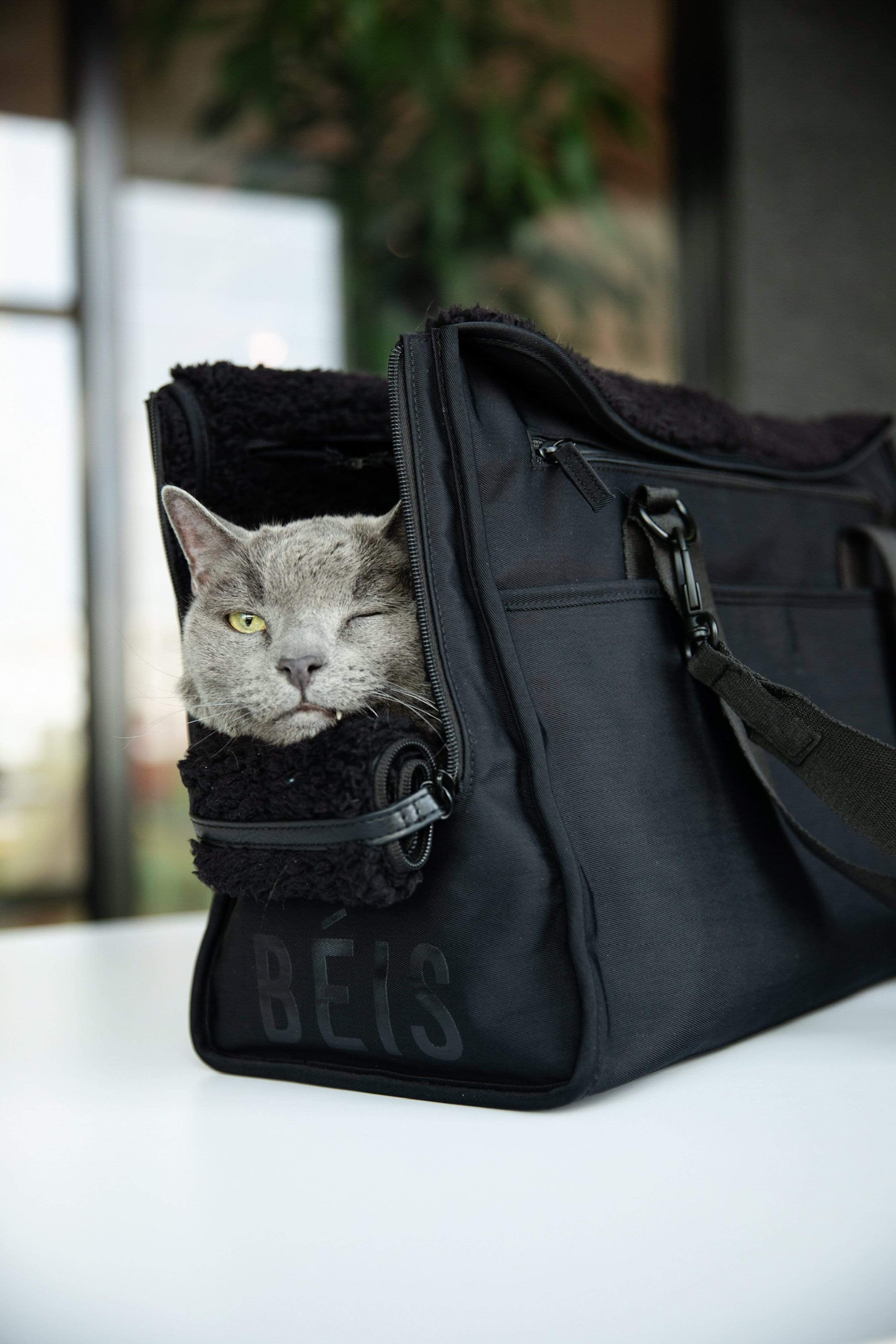 Beis the everyday pet tote newest